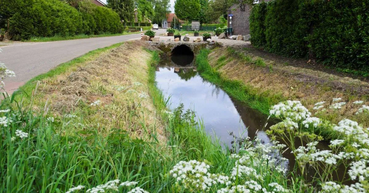 kwisbeek gemeente peel en maas