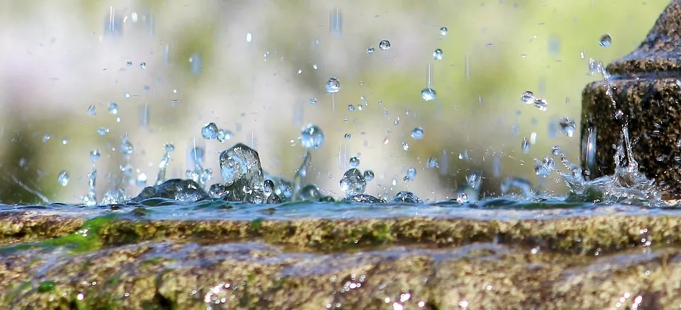 regen1