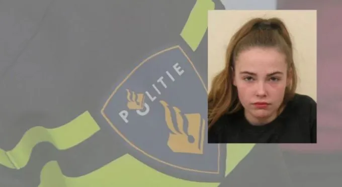 vermist dom