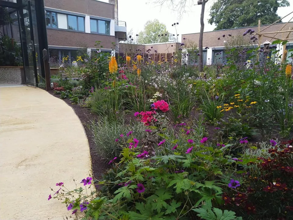 viecuri tuin