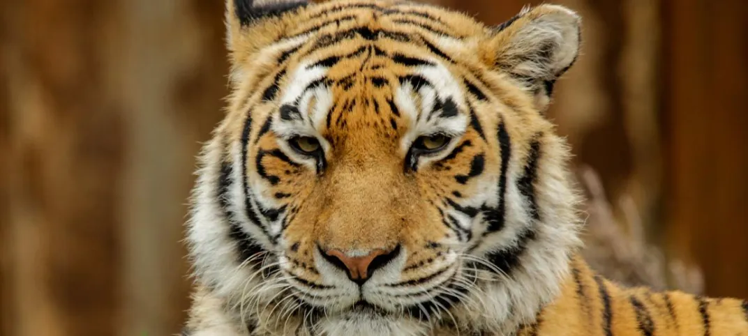 zooparc