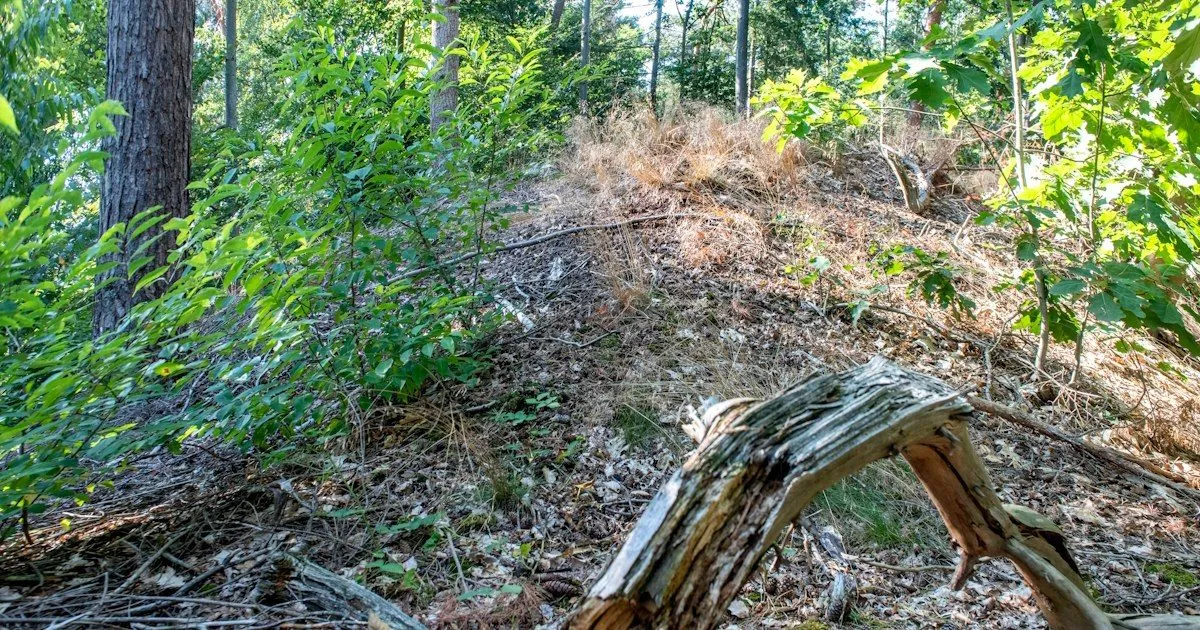 464178764 937998465026162 4152438467608538179 n