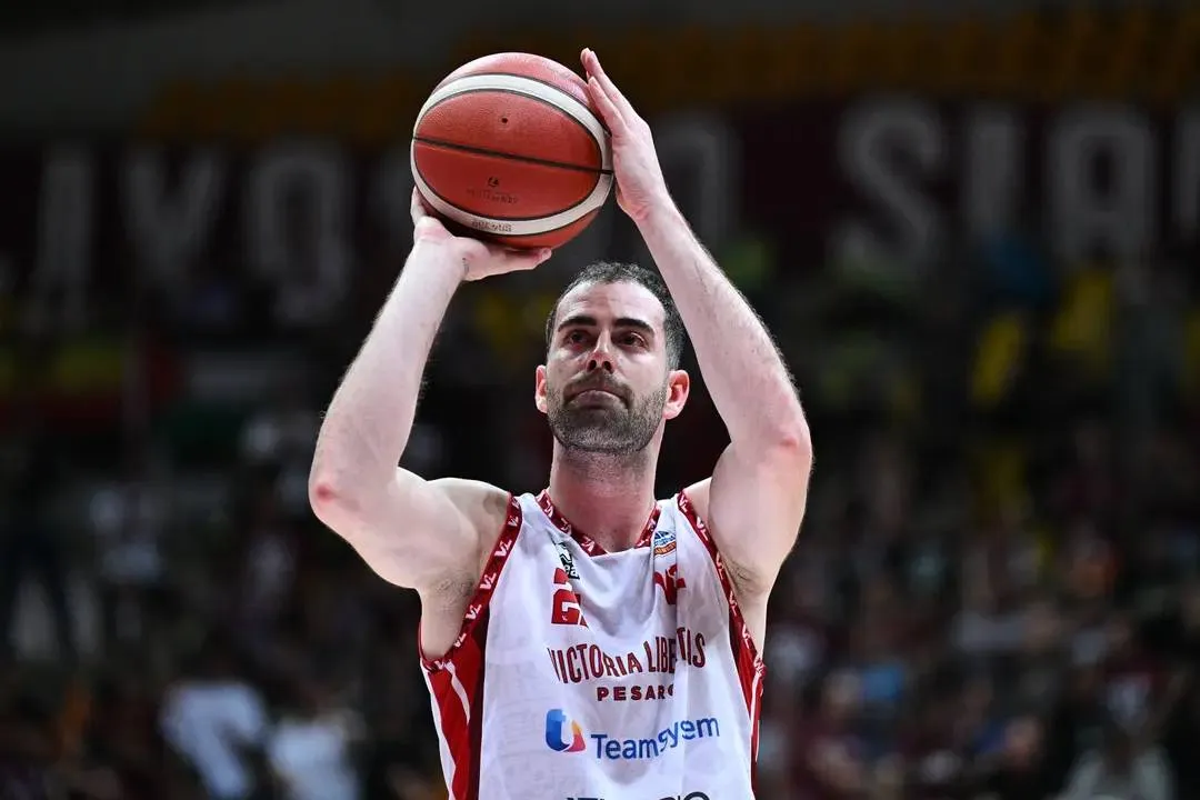 bucarelli pesaro ciamillo