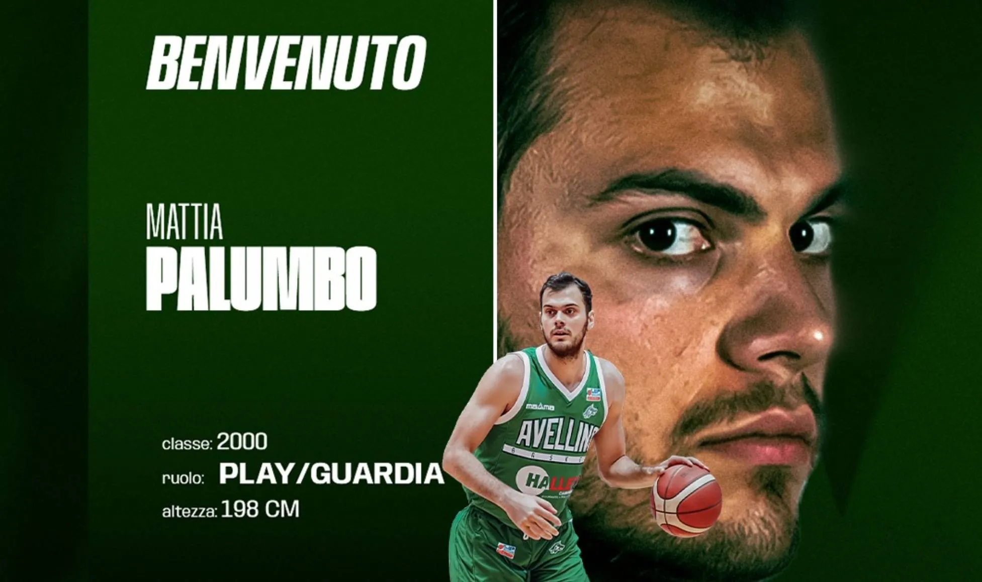 Mattia Palumbo