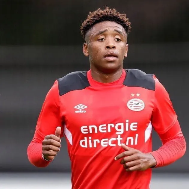 bergwijn1
