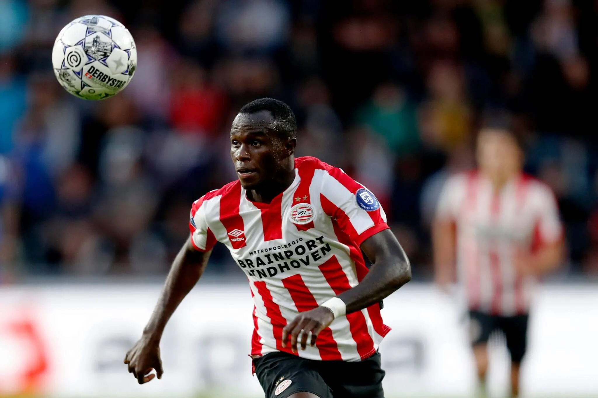 bruma