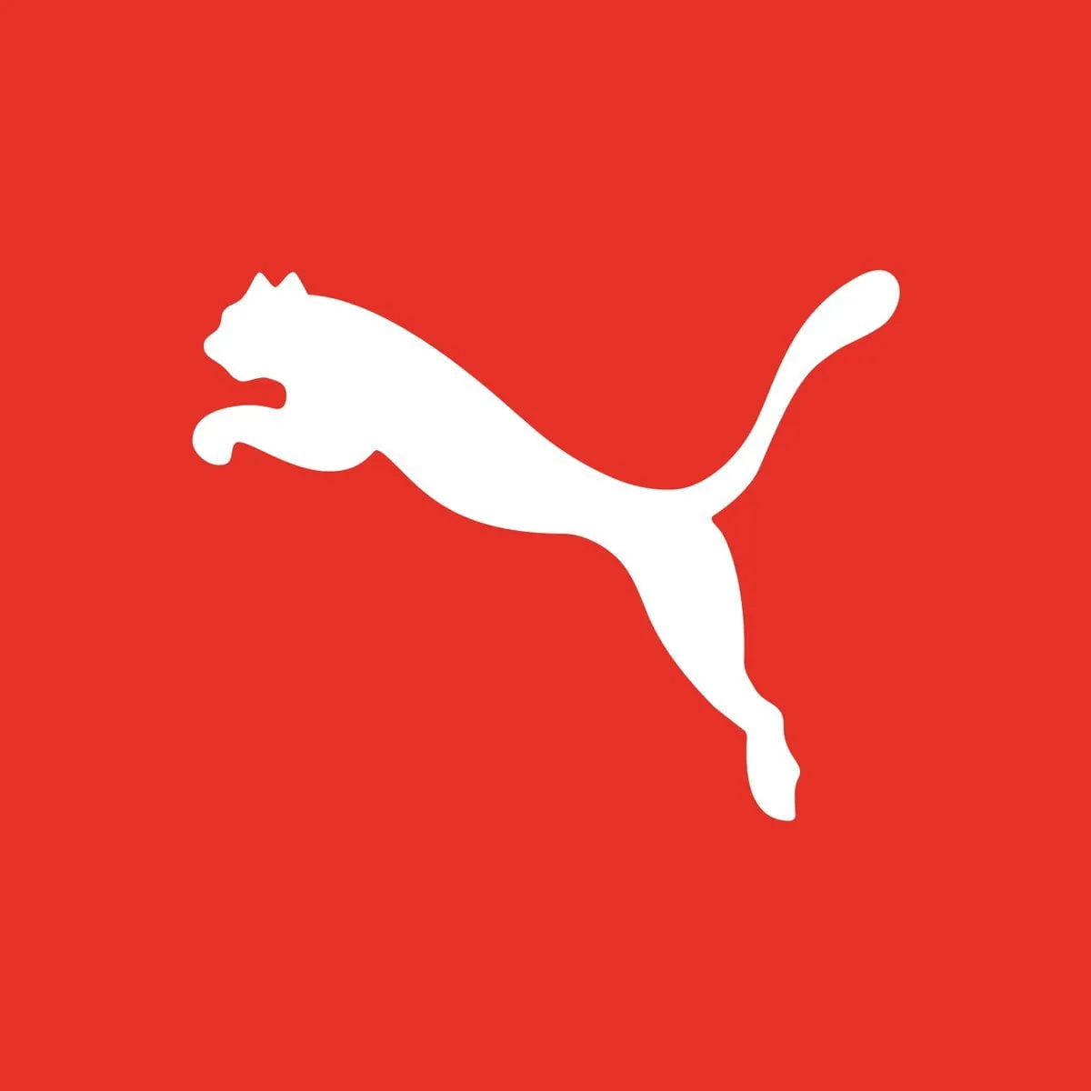 puma2