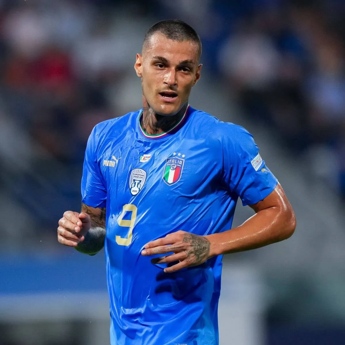 scamacca 1