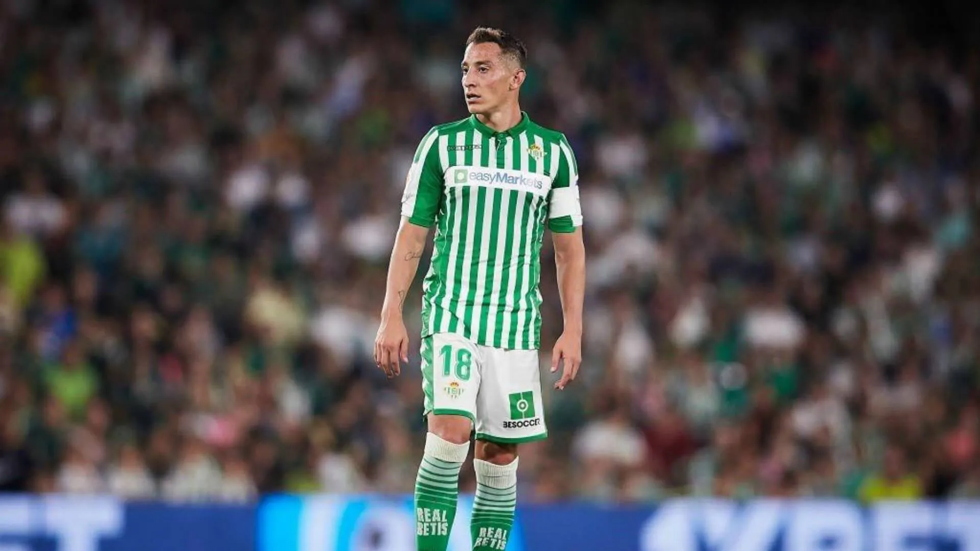 guardado