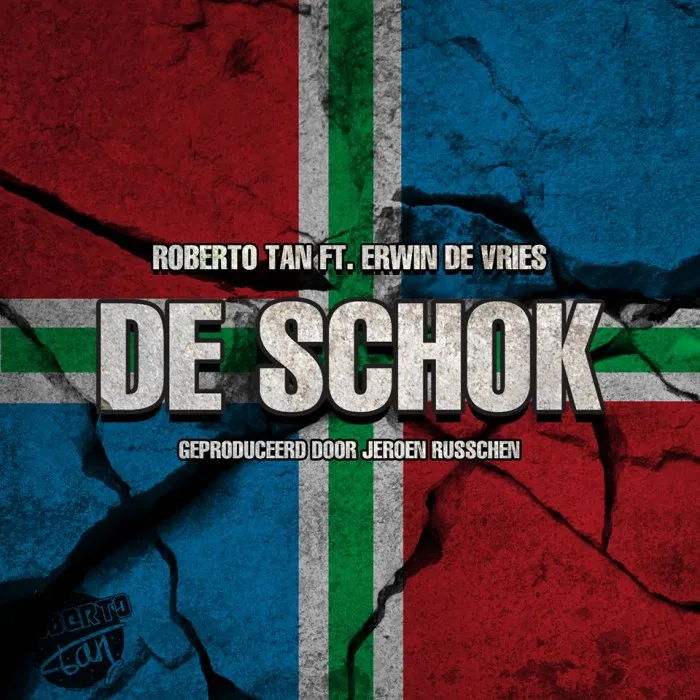 De Schok artwork e1421161733707