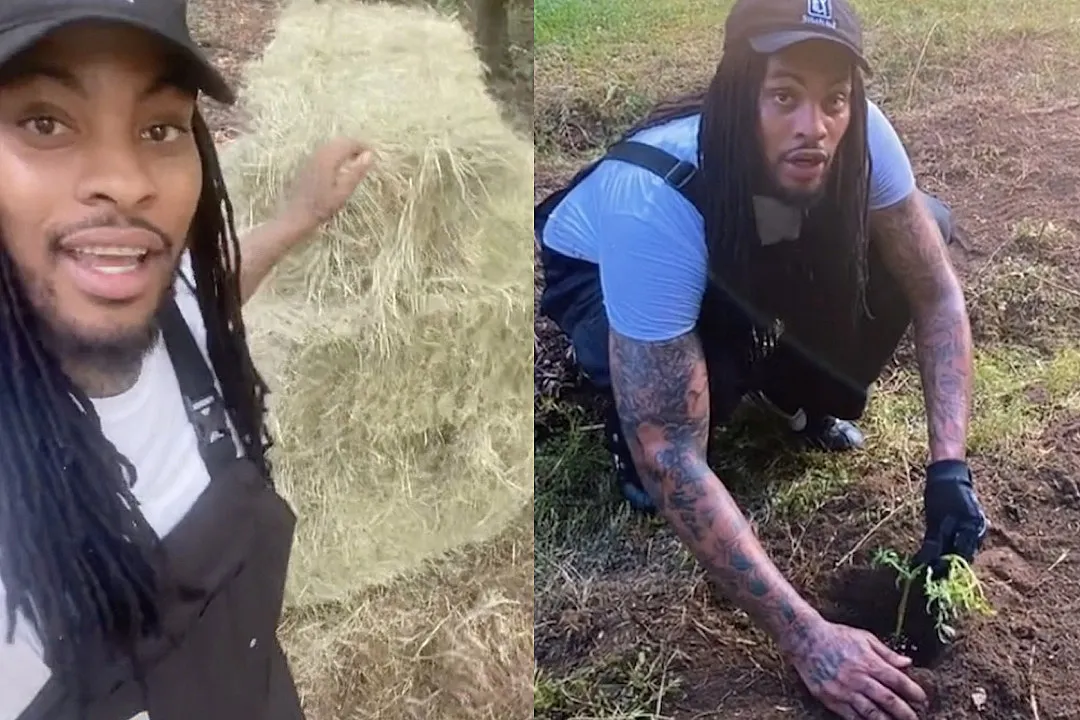 attachment waka flocka farmer