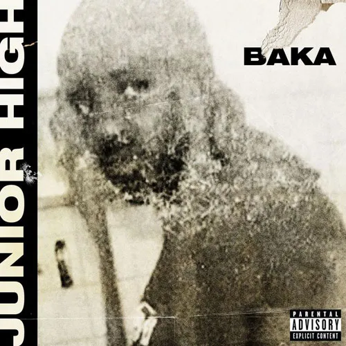 baka not nice junior high