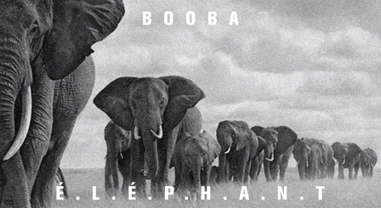 booba elephant