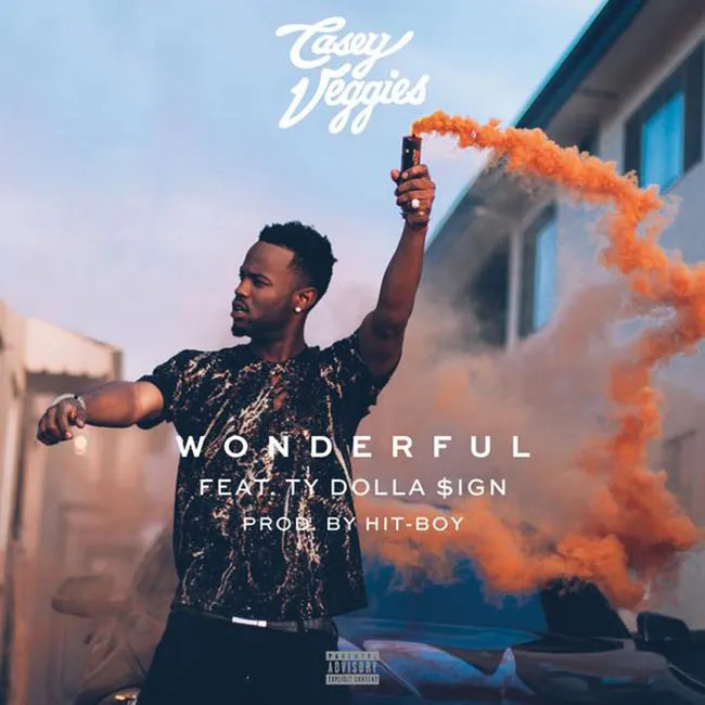 casey veggies wonderful cover