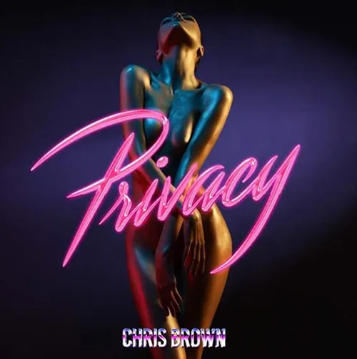chris brown privacy