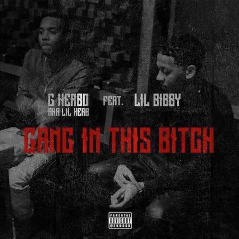 gherbo gang in this