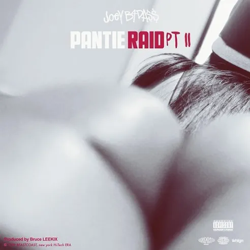 joey badass pantie raid 2