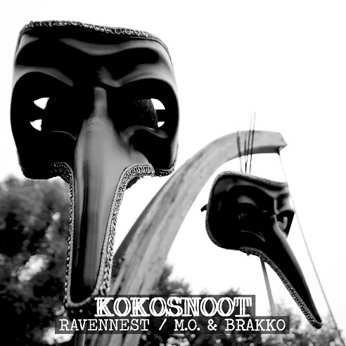 kokosnoot cover