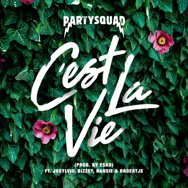 partysquad cestlavie