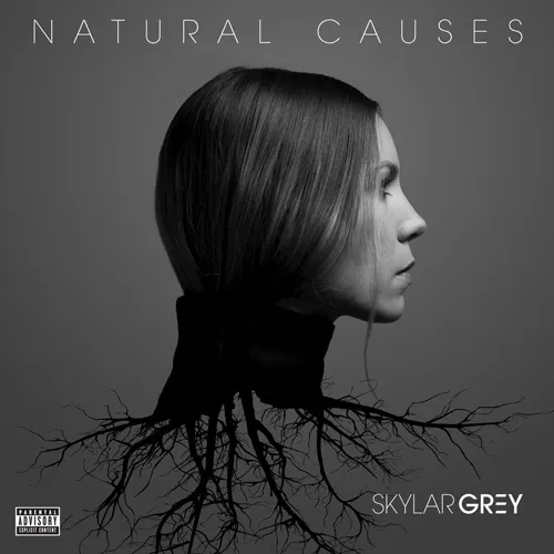 skylar grey natural causes