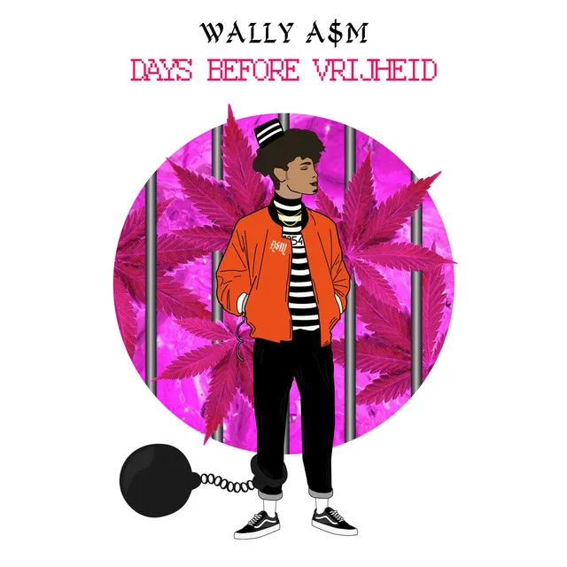 wally dbv