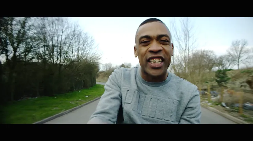 wiley chasing the Art