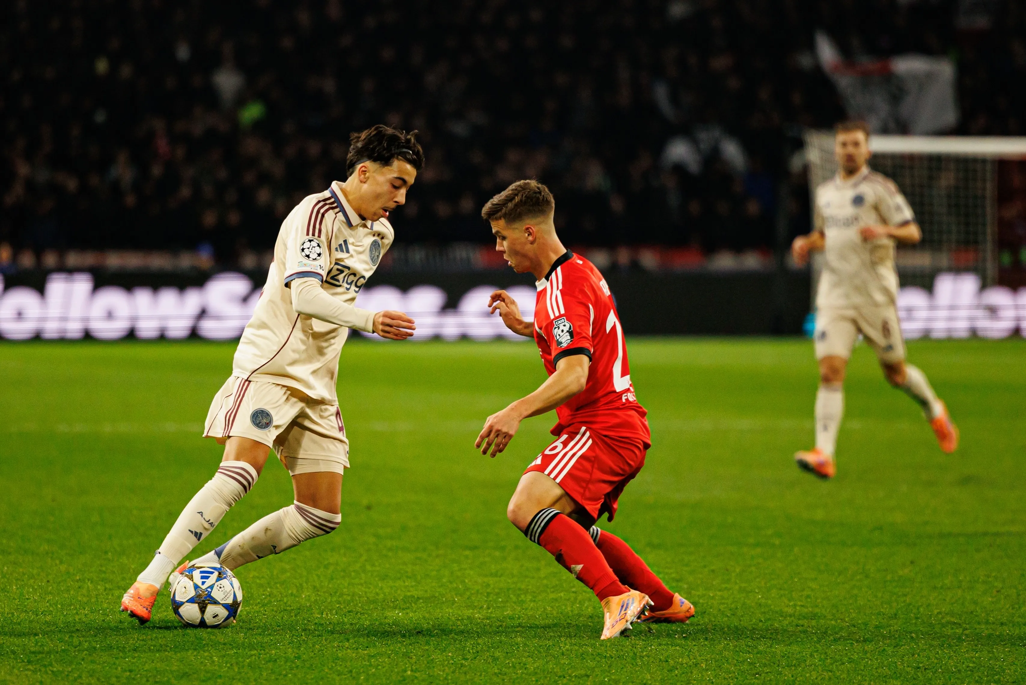 shutterstock_2716002399