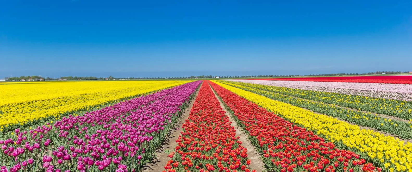 istock 1092087776