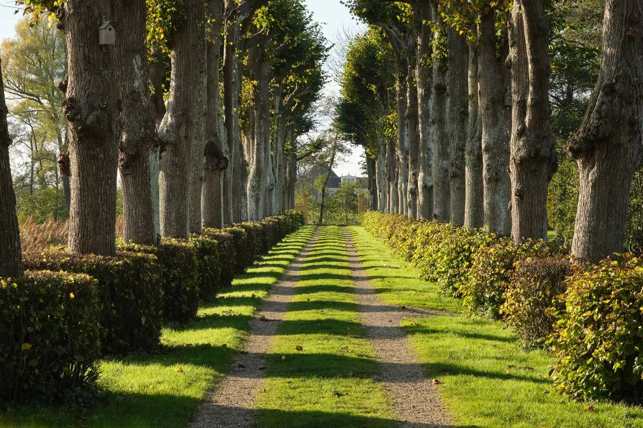 istock 1446349824