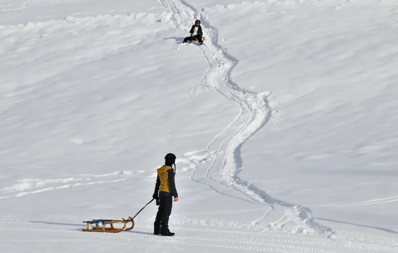 Schermafbeelding 2026-01-12 151439