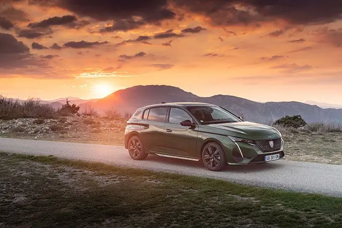 10 90 jaar peugeot300 reeks