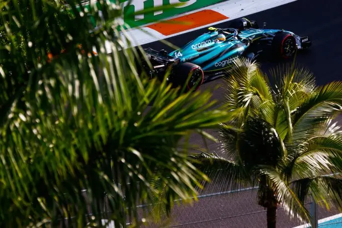 alonso miami palmbomen