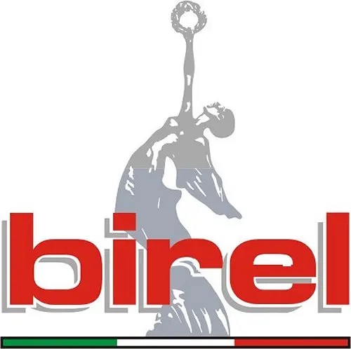 birel kart rx 500