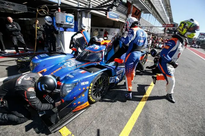elms2023spa2264