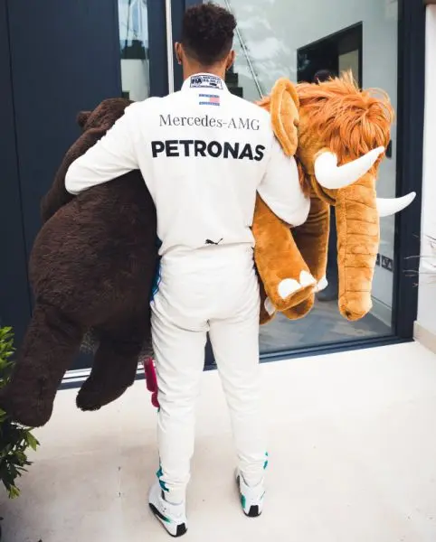 hamilton laureus teddyberen