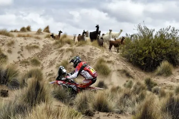 honda dakar
