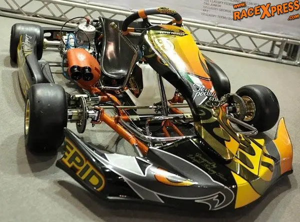 intrepid look 2012 kart rx 500