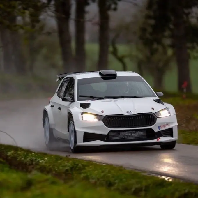 jos verstappen skoda