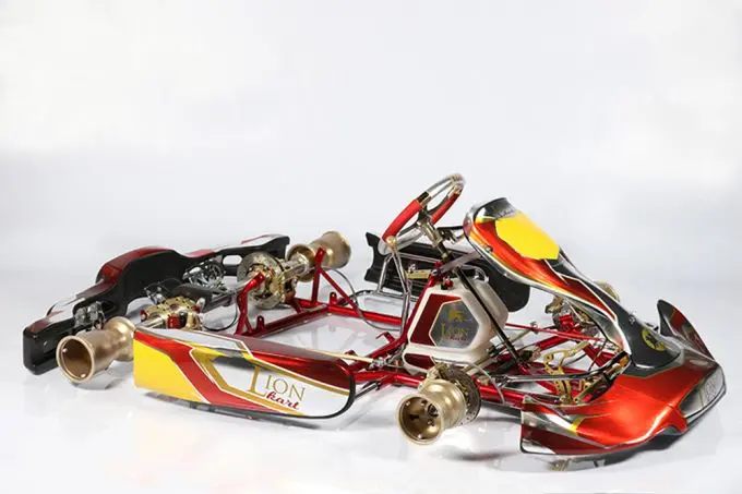 lion kart kz