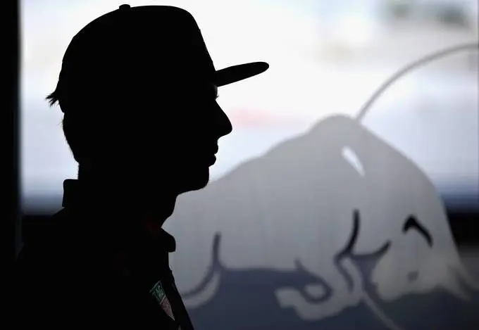 max verstappen siloette