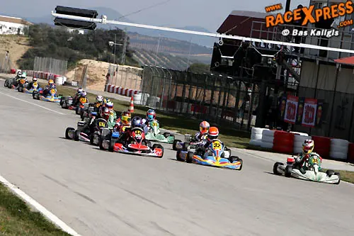 nl juniors rotax max