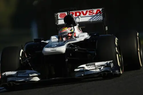 p maldonado