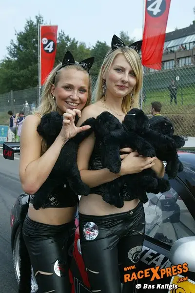 pitspoes