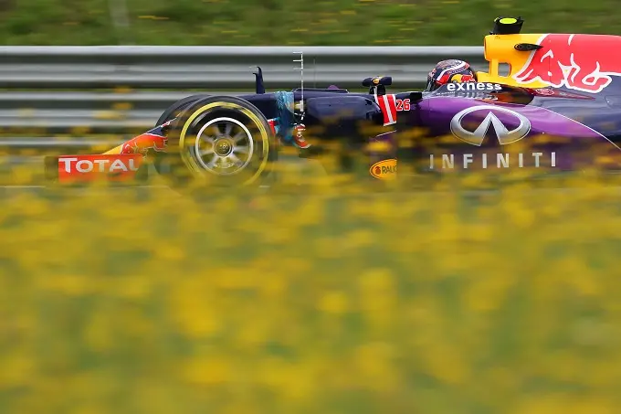 red bull f1