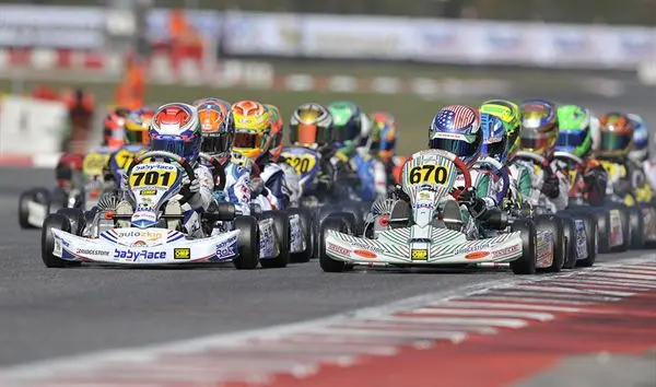 rok cup