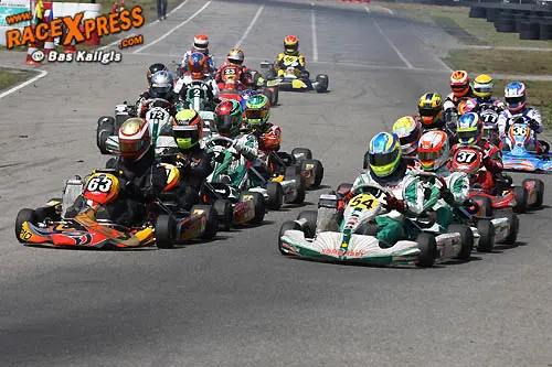 rotax max senior rx 500