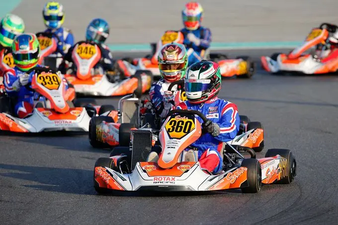 rotax max senior