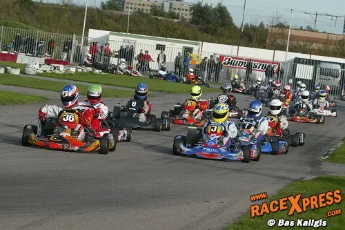 rotax max senioren rx 500