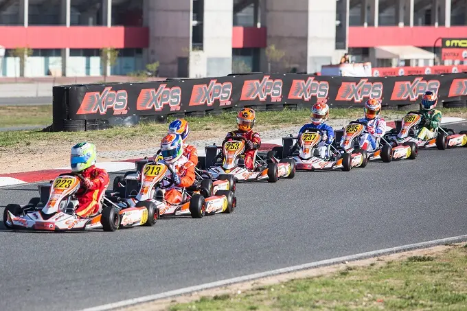 rotax max senioren