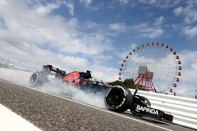 toro rosso 1
